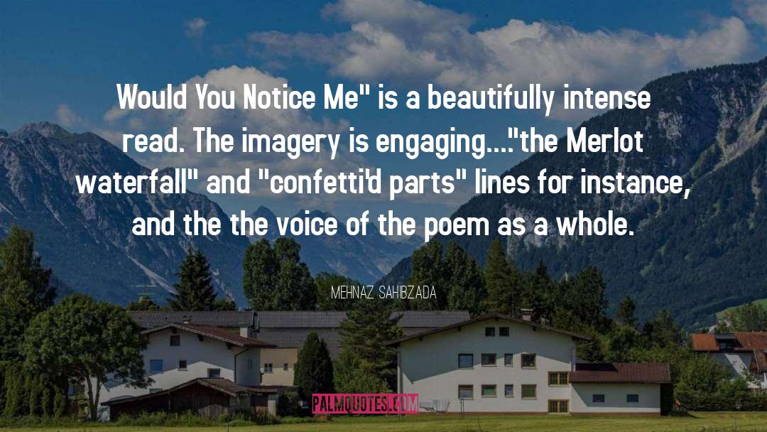 Mehnaz Sahibzada Quotes: Would You Notice Me