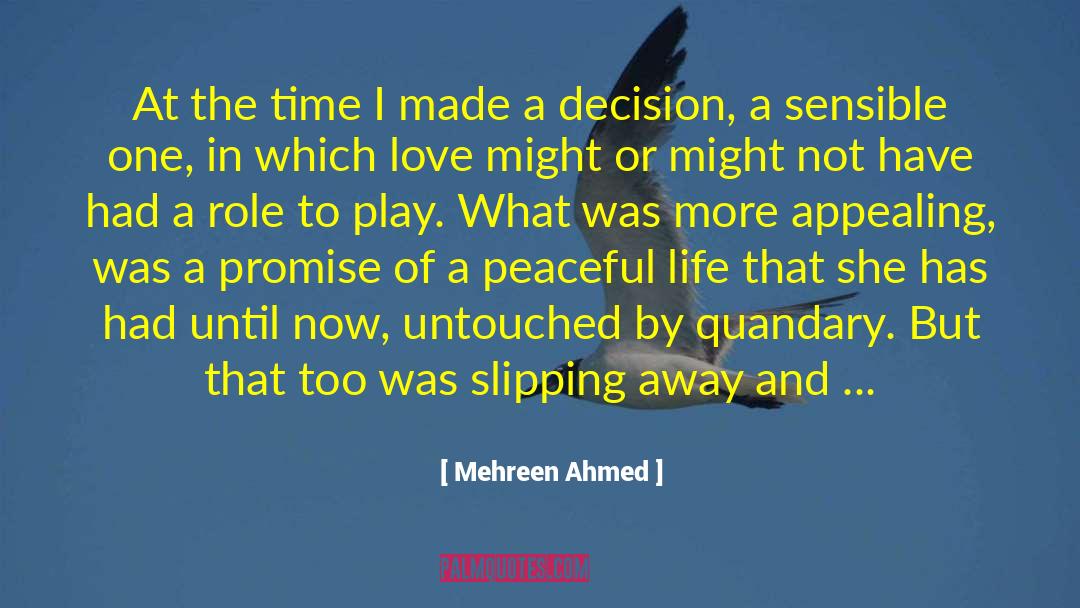 Mehreen Ahmed Quotes: At the time I made