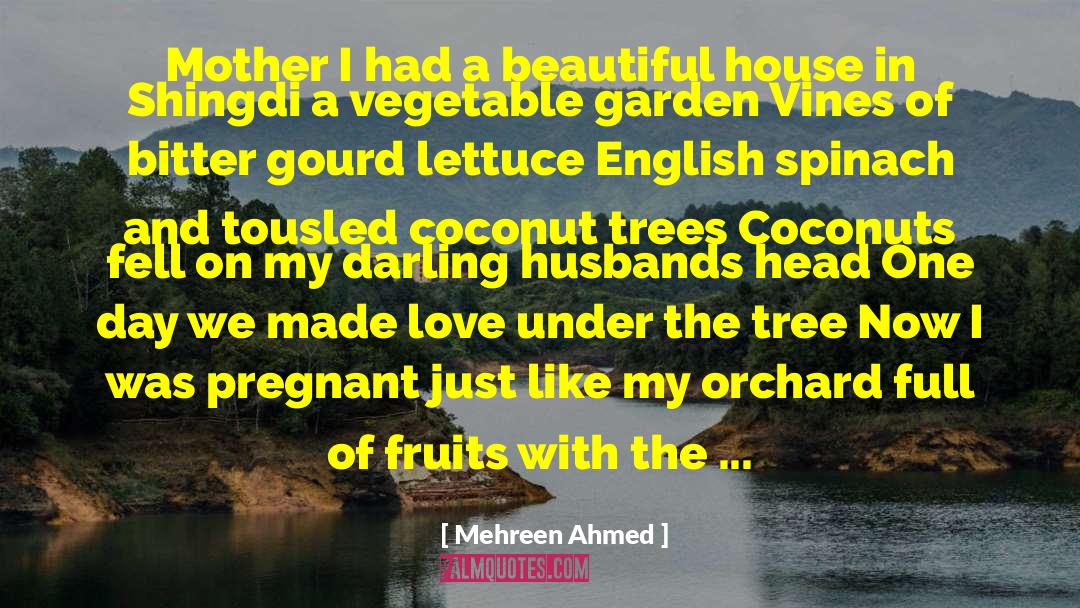 Mehreen Ahmed Quotes: Mother I had a beautiful