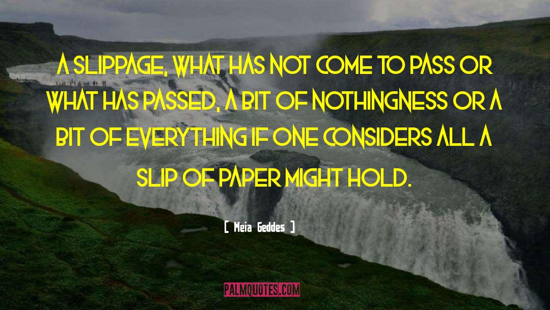 Meia Geddes Quotes: A slippage, what has not