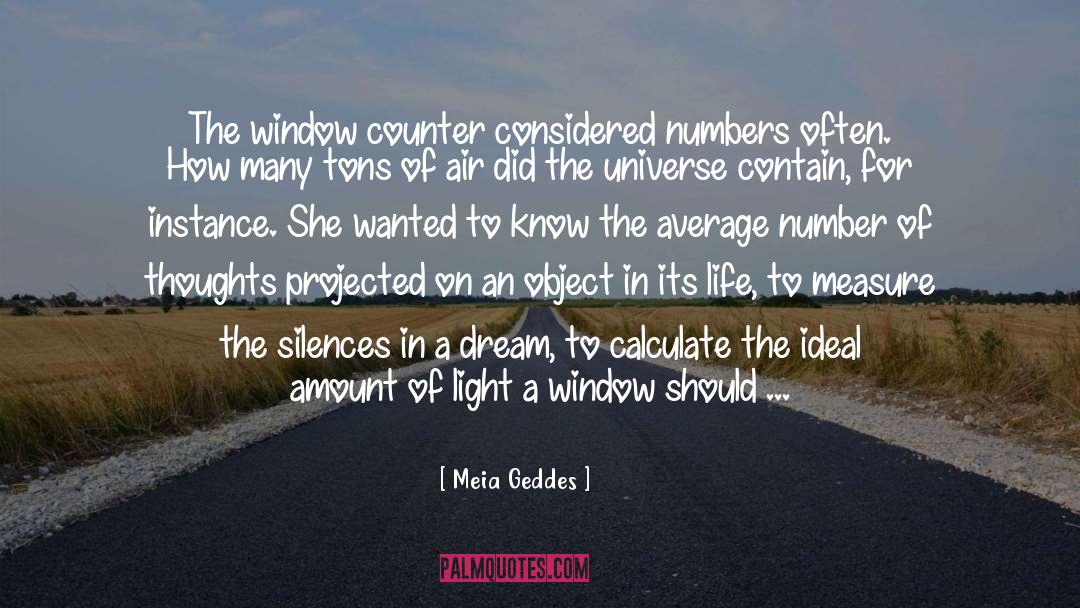 Meia Geddes Quotes: The window counter considered numbers