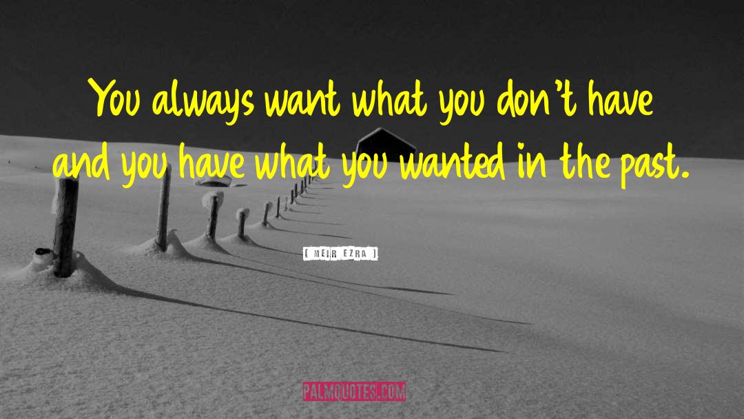 Meir Ezra Quotes: You always want what you