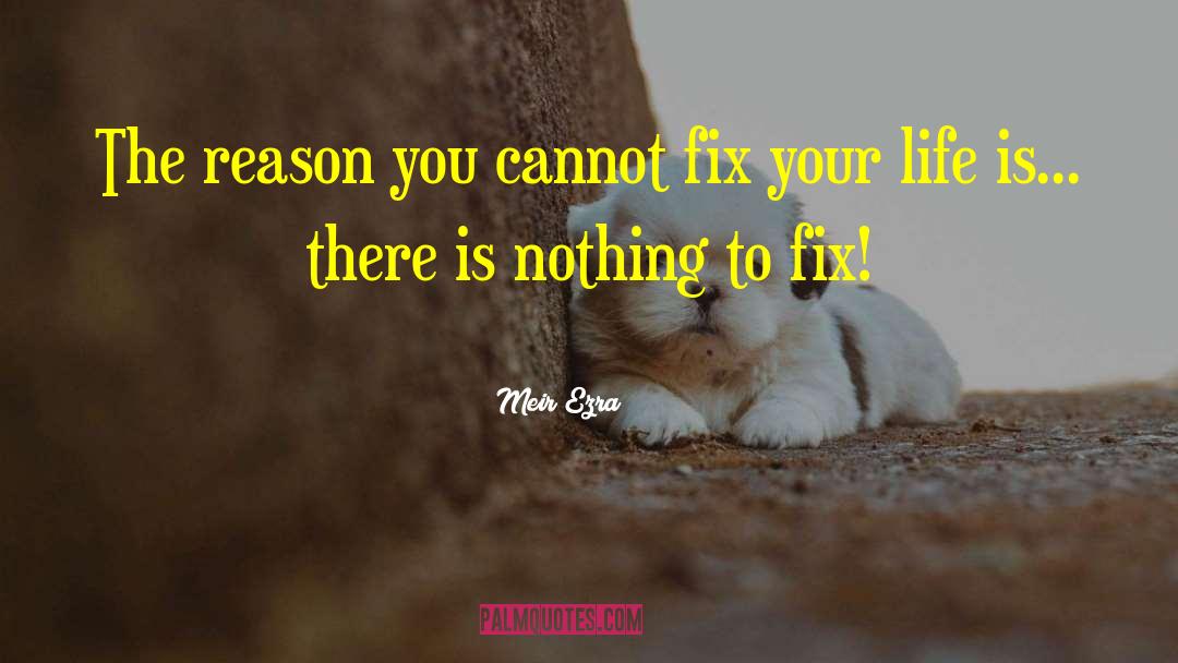 Meir Ezra Quotes: The reason you cannot fix