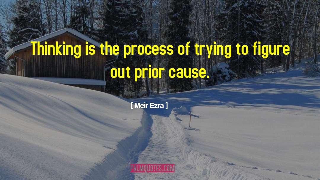 Meir Ezra Quotes: Thinking is the process of