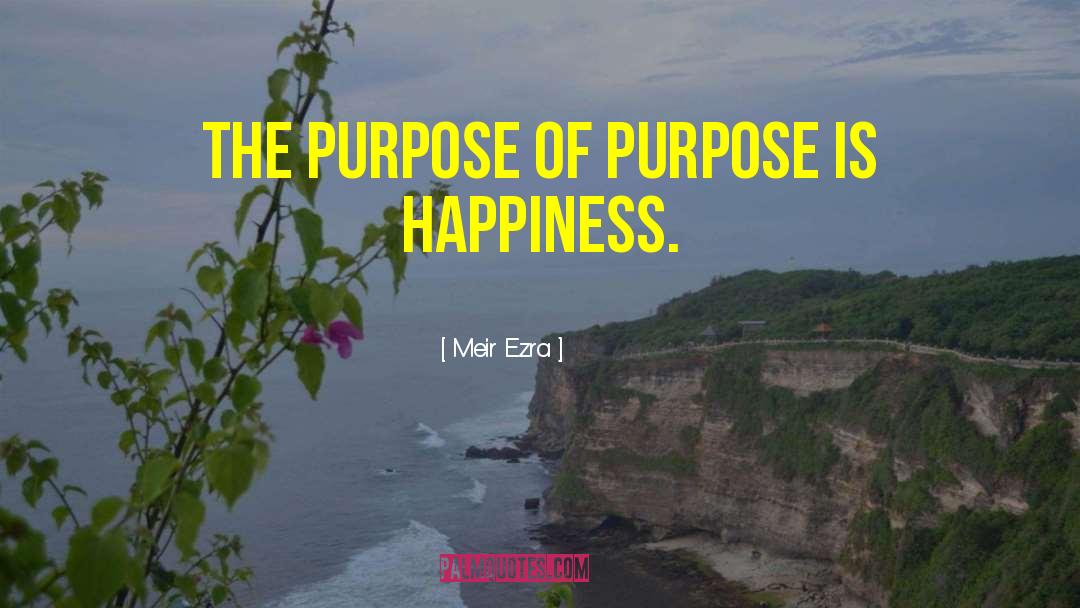 Meir Ezra Quotes: The purpose of purpose is