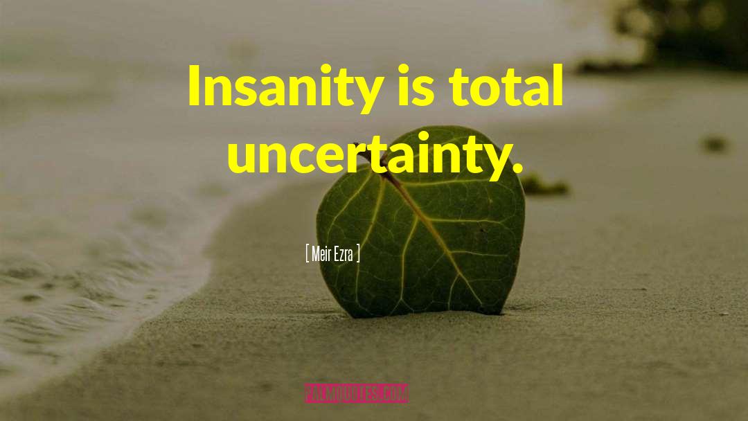 Meir Ezra Quotes: Insanity is total uncertainty.