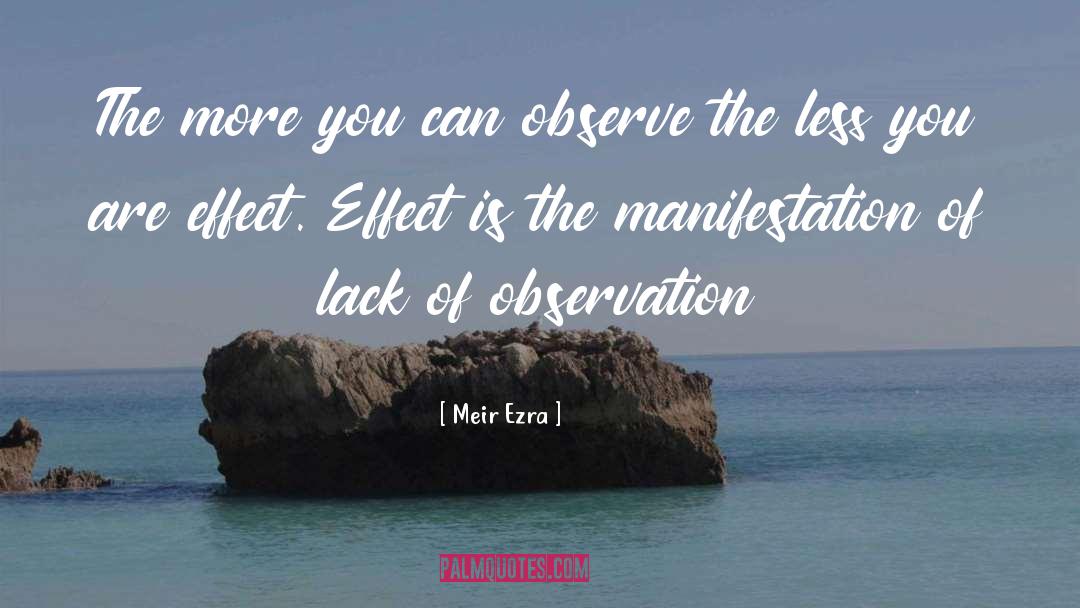 Meir Ezra Quotes: The more you can observe