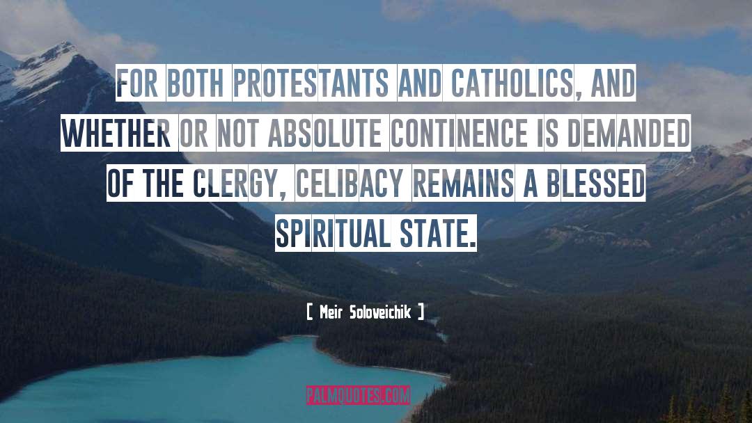 Meir Soloveichik Quotes: For both Protestants and Catholics,