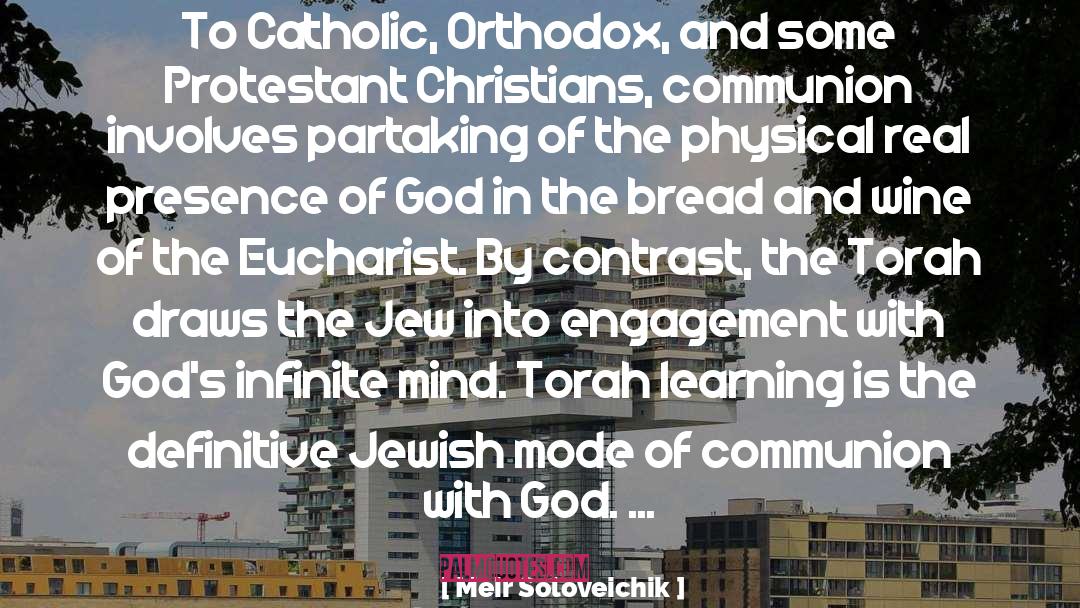 Meir Soloveichik Quotes: To Catholic, Orthodox, and some