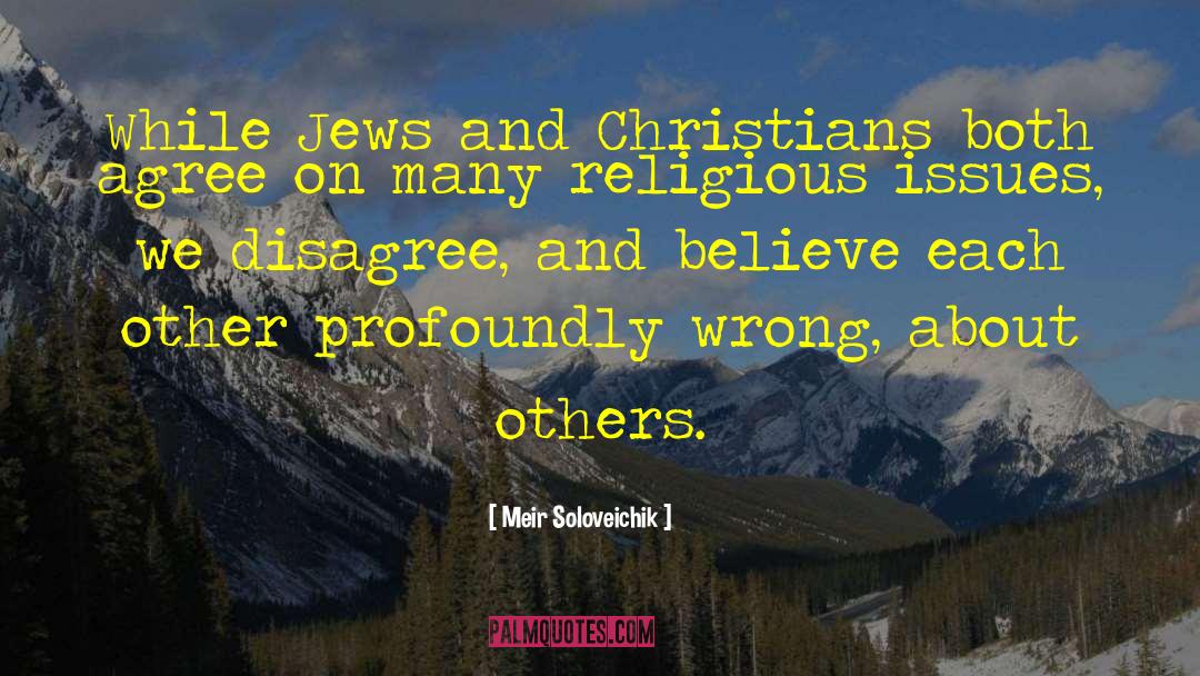 Meir Soloveichik Quotes: While Jews and Christians both