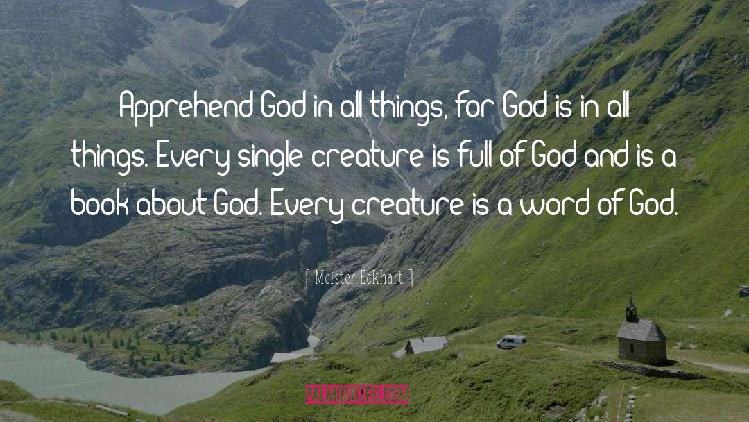 Meister Eckhart Quotes: Apprehend God in all things,