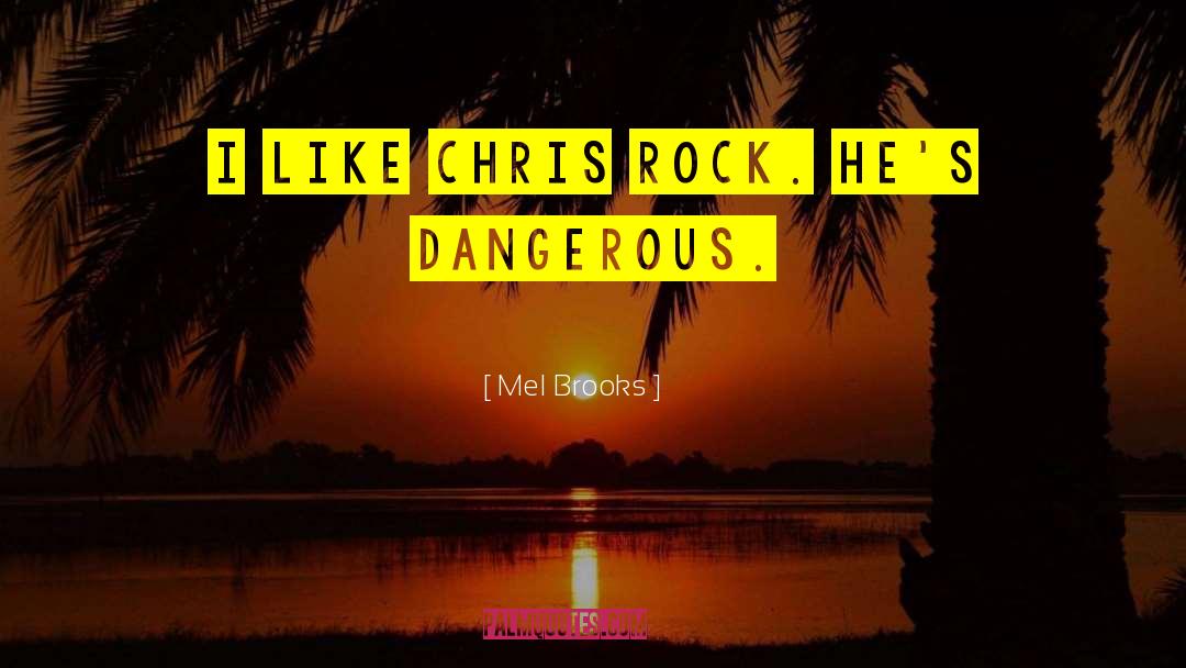 Mel Brooks Quotes: I like Chris Rock. He's