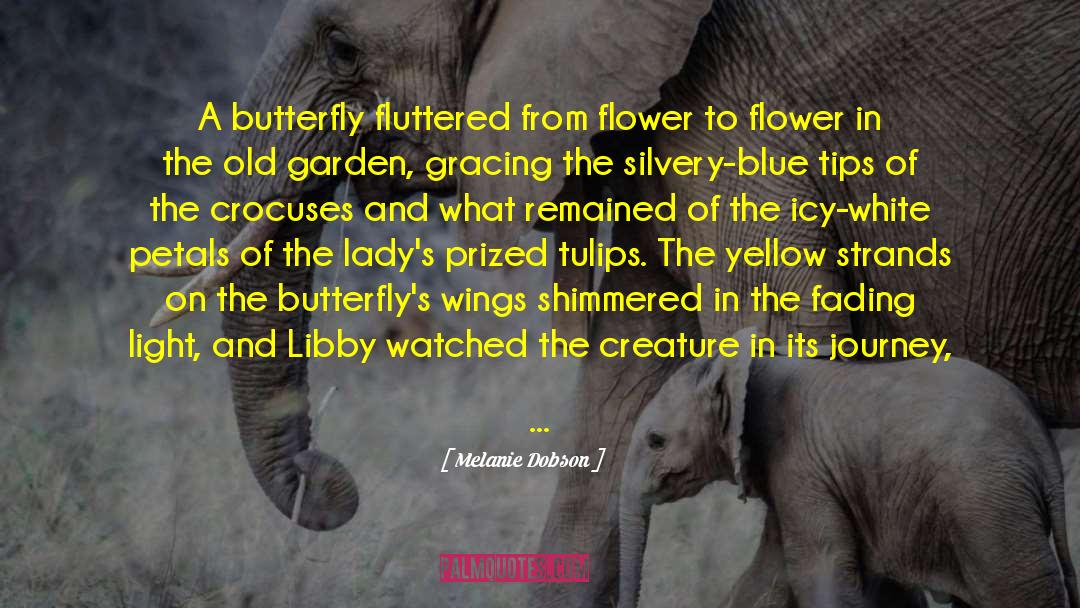 Melanie Dobson Quotes: A butterfly fluttered from flower