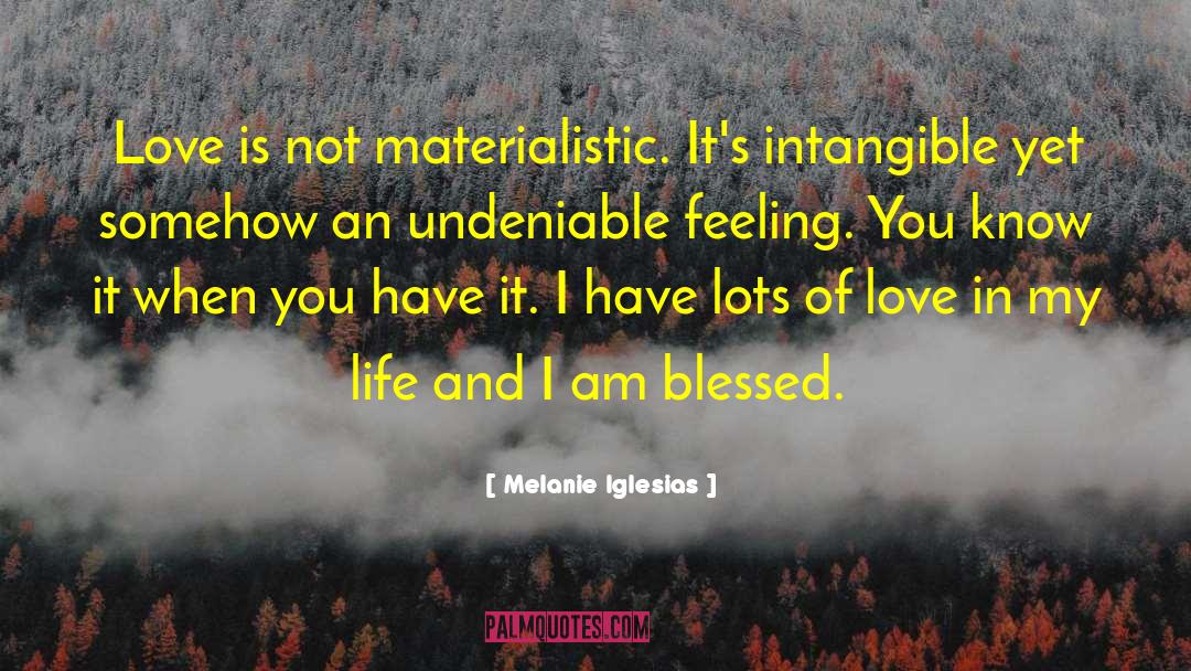 Melanie Iglesias Quotes: Love is not materialistic. It's