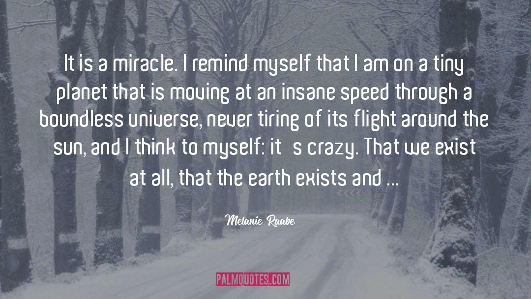 Melanie Raabe Quotes: It is a miracle. I