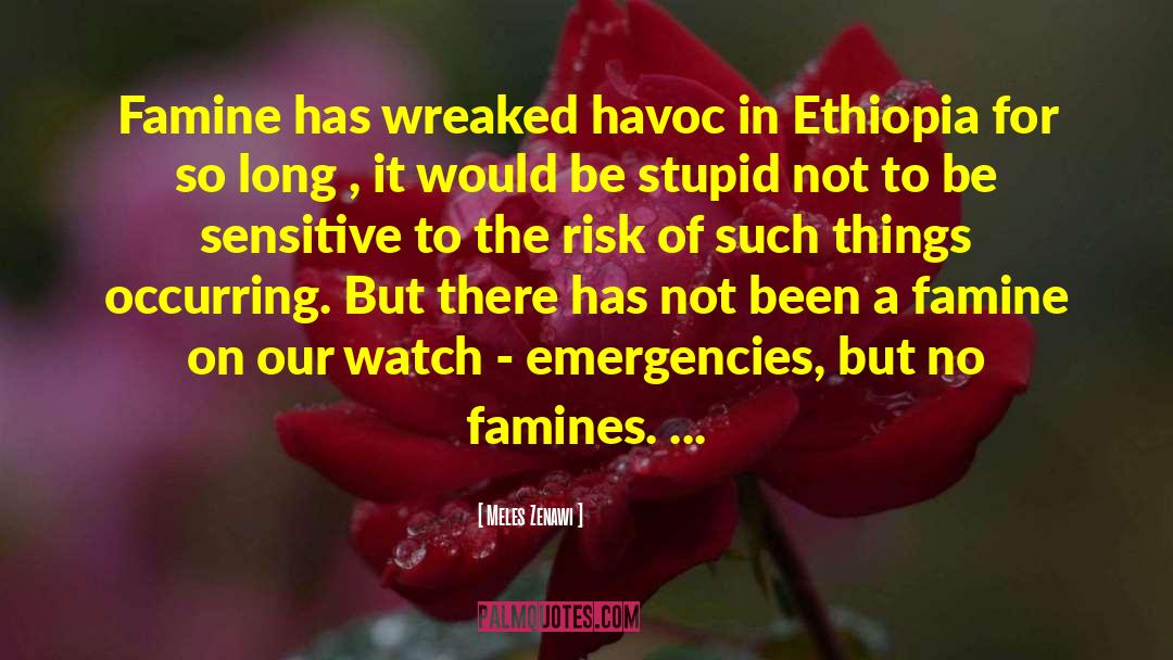Meles Zenawi Quotes: Famine has wreaked havoc in
