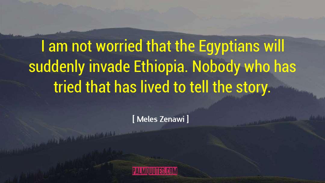 Meles Zenawi Quotes: I am not worried that