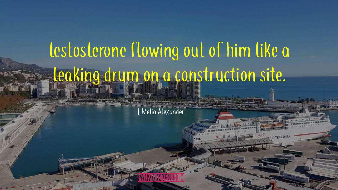 Melia Alexander Quotes: testosterone flowing out of him