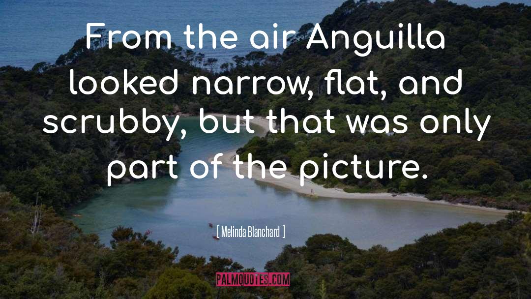 Melinda Blanchard Quotes: From the air Anguilla looked