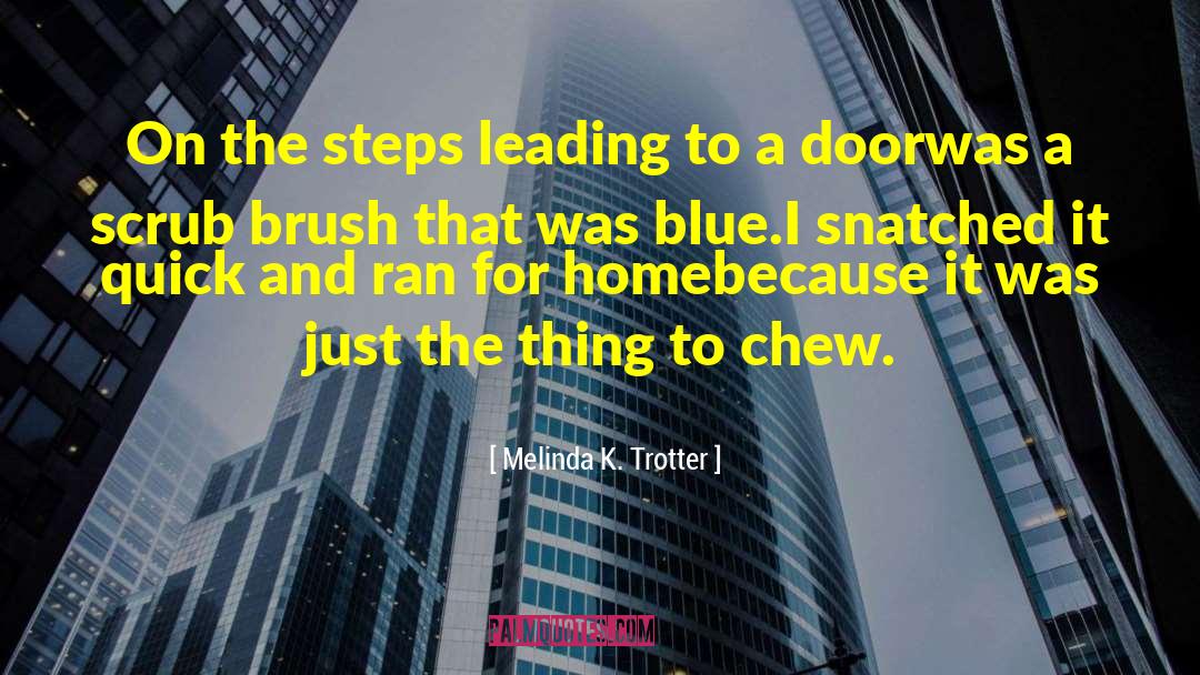 Melinda K. Trotter Quotes: On the steps leading to