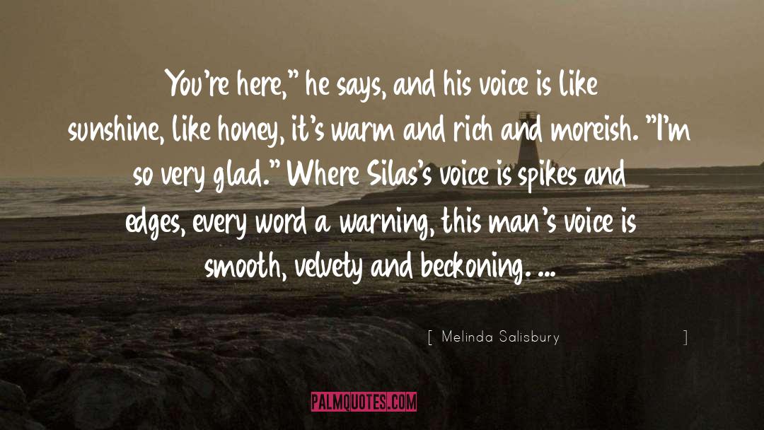 Melinda Salisbury Quotes: You're here,
