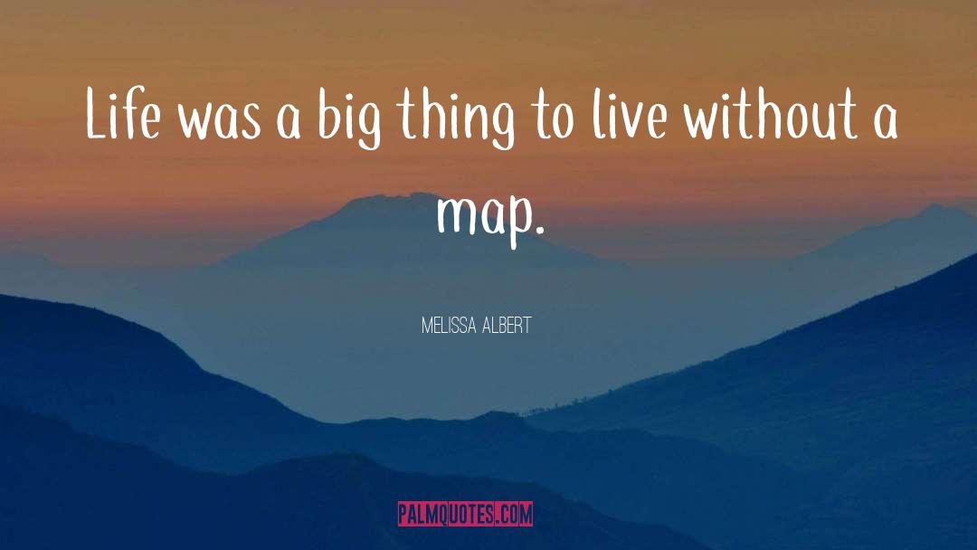 Melissa Albert Quotes: Life was a big thing