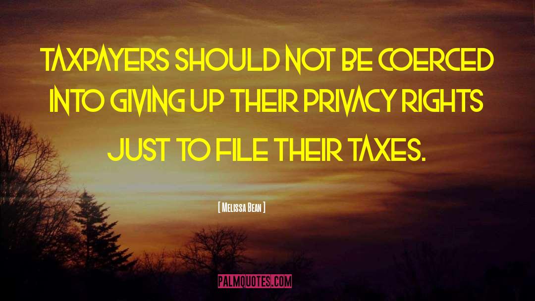 Melissa Bean Quotes: Taxpayers should not be coerced