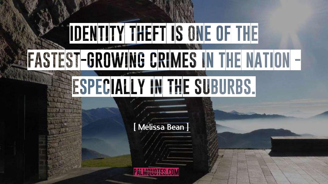 Melissa Bean Quotes: Identity theft is one of