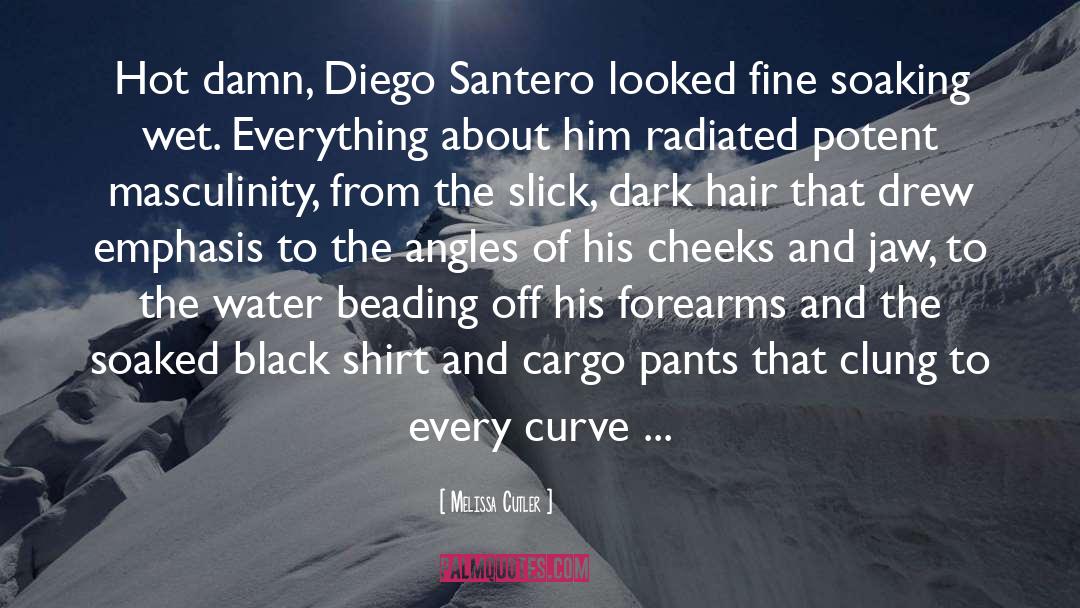 Melissa Cutler Quotes: Hot damn, Diego Santero looked