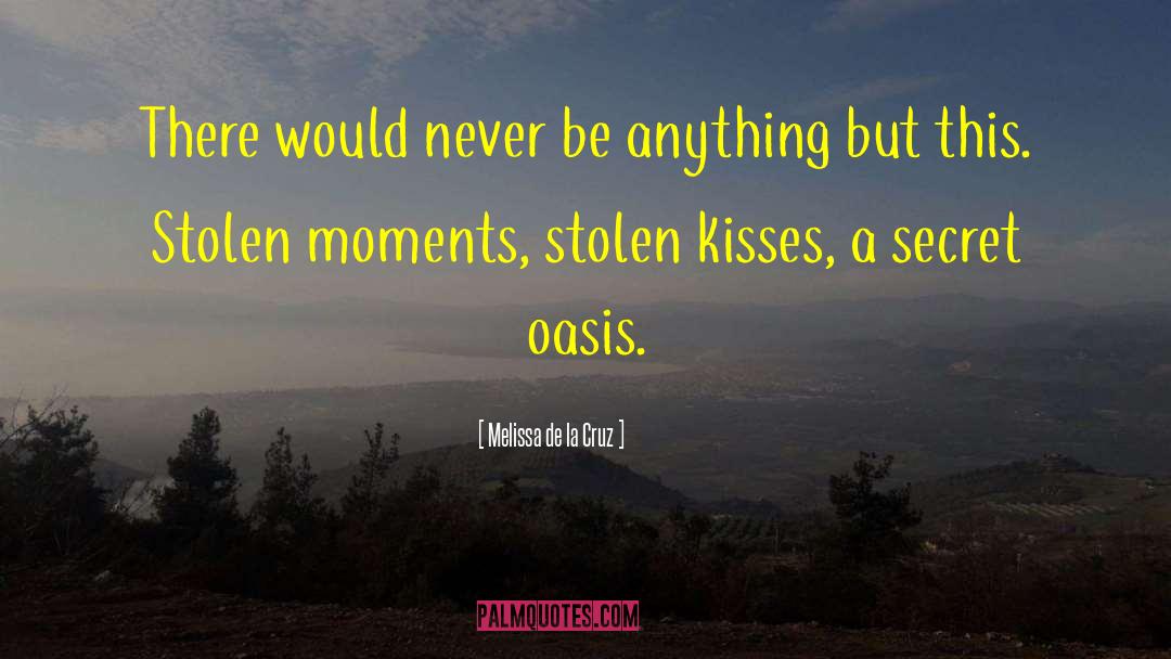 Melissa De La Cruz Quotes: There would never be anything