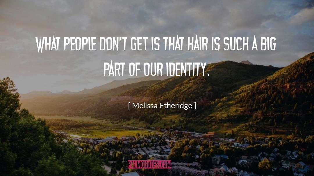 Melissa Etheridge Quotes: What people don't get is