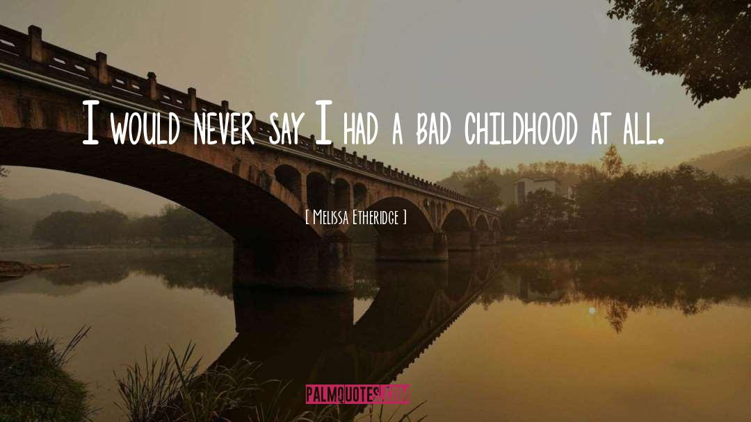 Melissa Etheridge Quotes: I would never say I