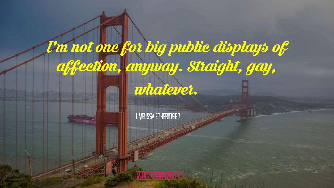 Melissa Etheridge Quotes: I'm not one for big