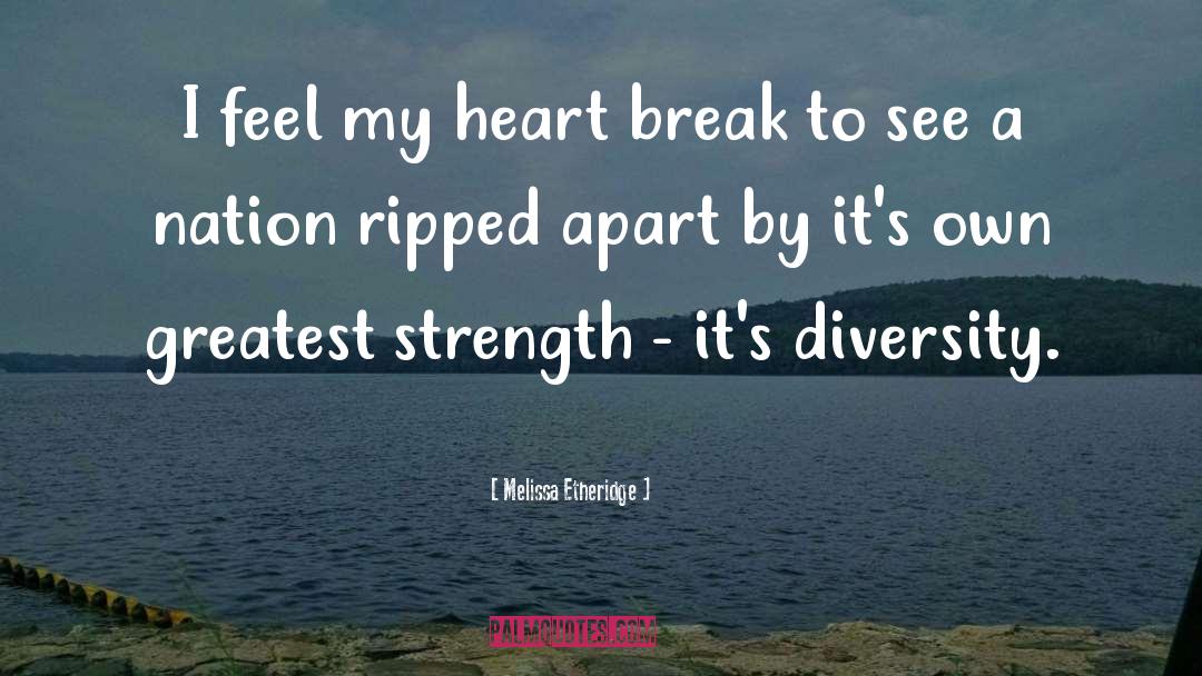 Melissa Etheridge Quotes: I feel my heart break