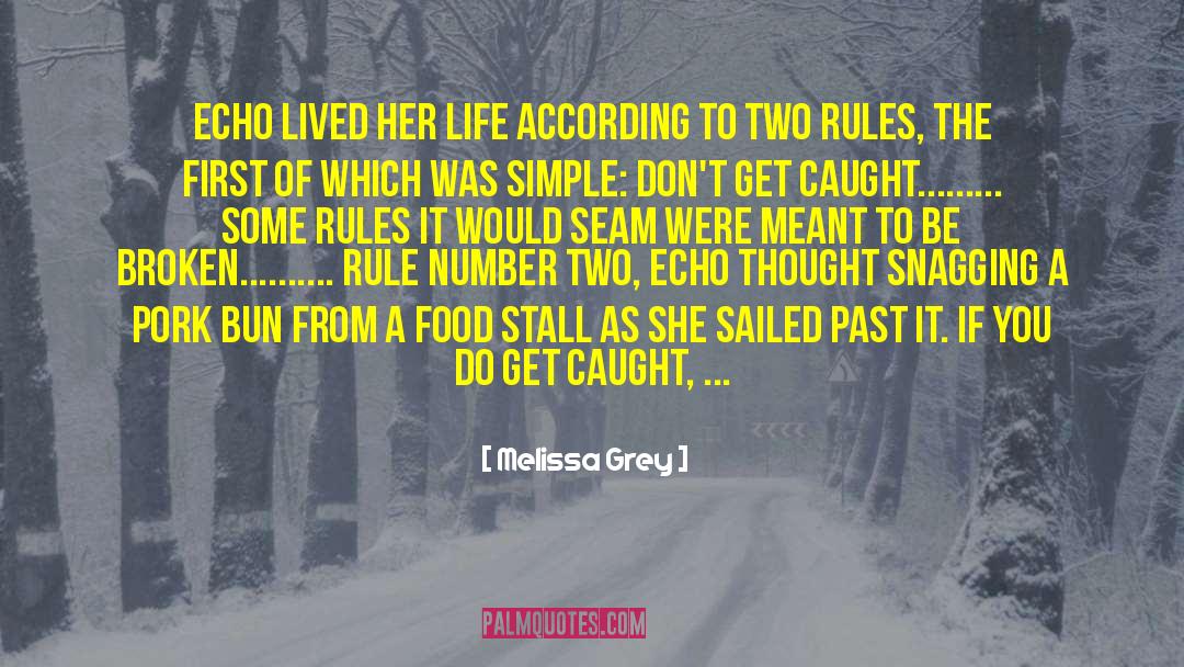 Melissa Grey Quotes: Echo lived her life according