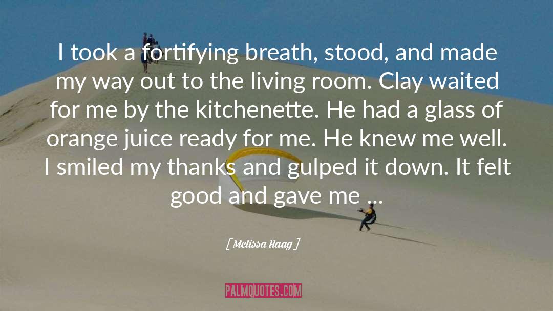 Melissa Haag Quotes: I took a fortifying breath,