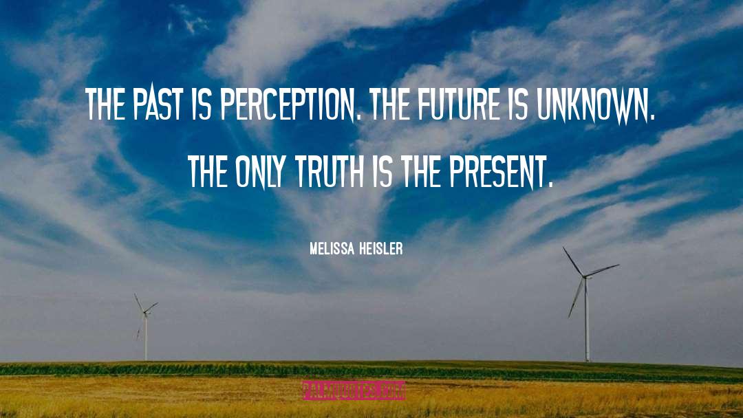 Melissa Heisler Quotes: The past is perception. The