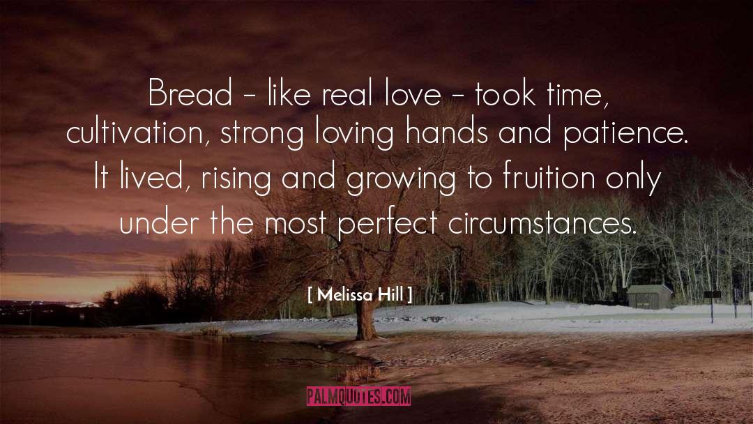 Melissa Hill Quotes: Bread – like real love