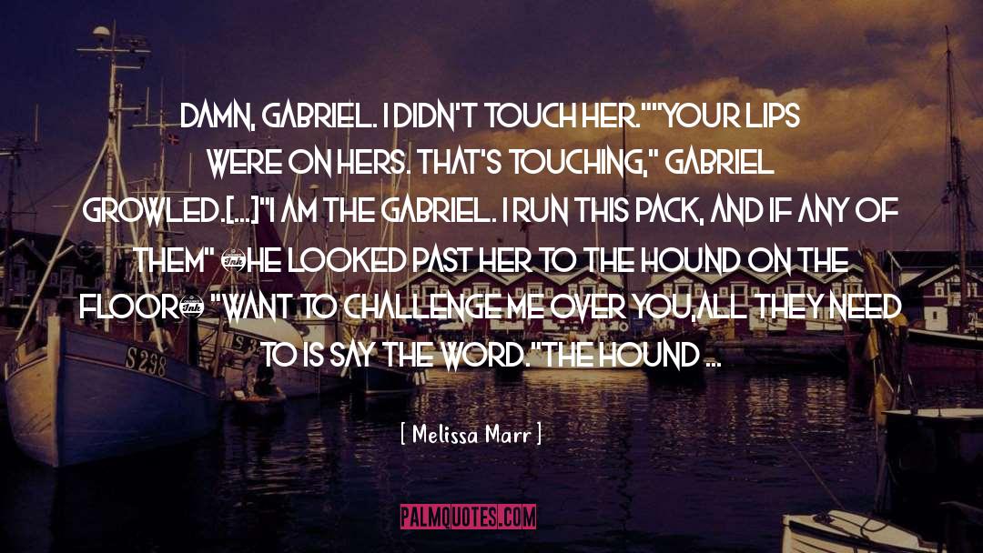 Melissa Marr Quotes: Damn, Gabriel. I didn't touch