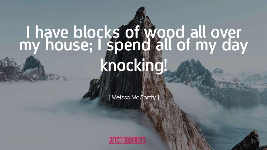 Melissa McCarthy Quotes: I have blocks of wood