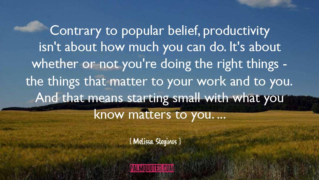 Melissa Steginus Quotes: Contrary to popular belief, productivity