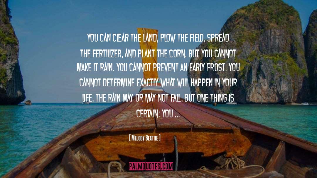 Melody Beattie Quotes: You can clear the land,