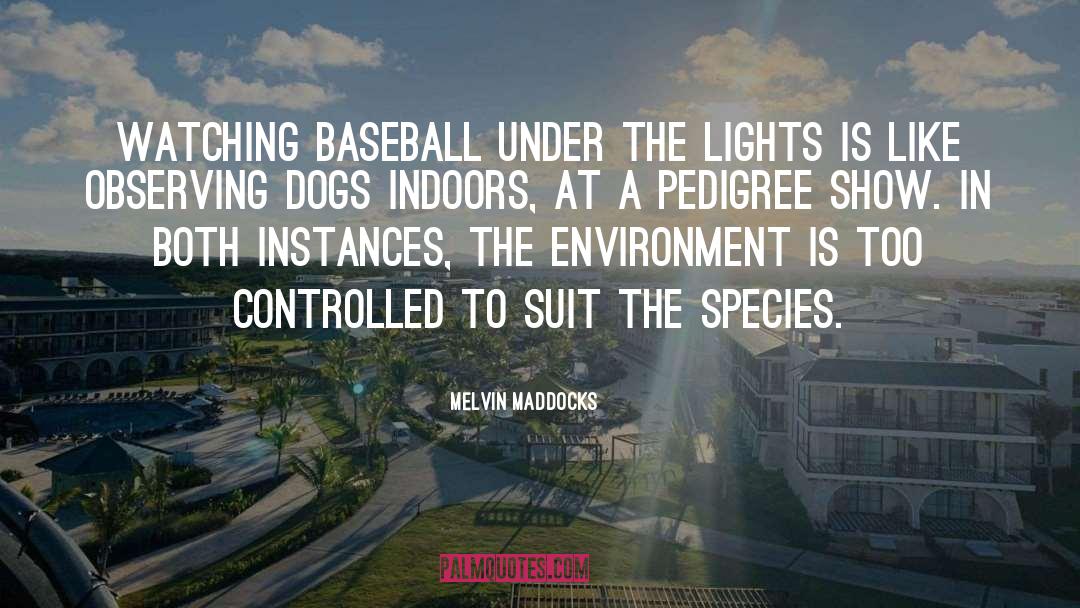 Melvin Maddocks Quotes: Watching baseball under the lights