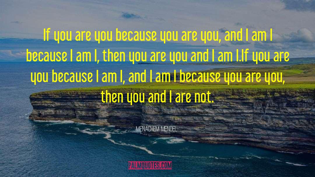 Menachem Mendel Quotes: If you are you because