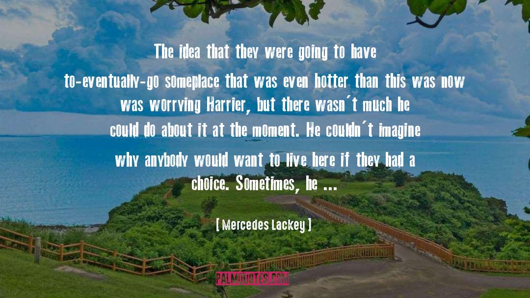 Mercedes Lackey Quotes: The idea that they were