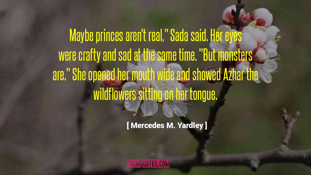 Mercedes M. Yardley Quotes: Maybe princes aren't real,