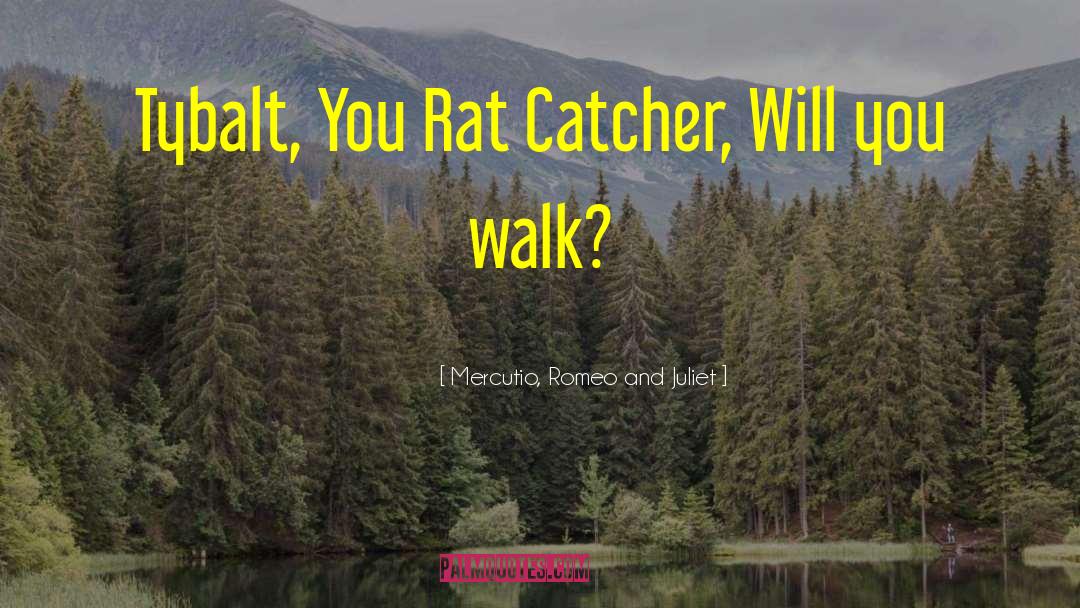 Mercutio, Romeo And Juliet Quotes: Tybalt, You Rat Catcher, Will