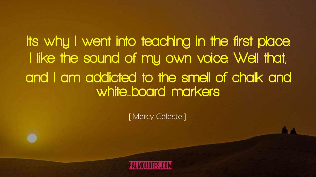 Mercy Celeste Quotes: It's why I went into