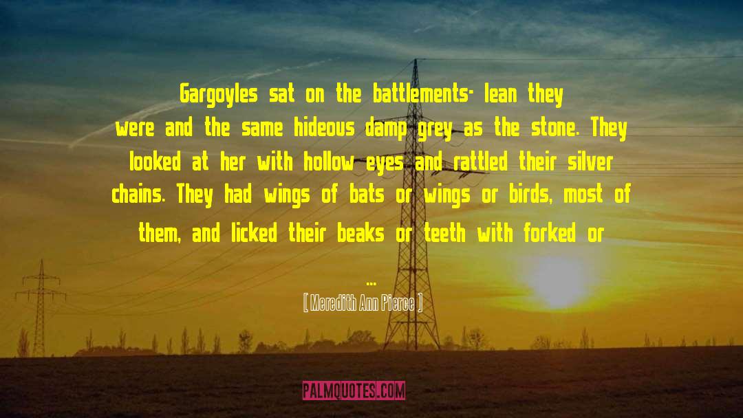Meredith Ann Pierce Quotes: Gargoyles sat on the battlements-