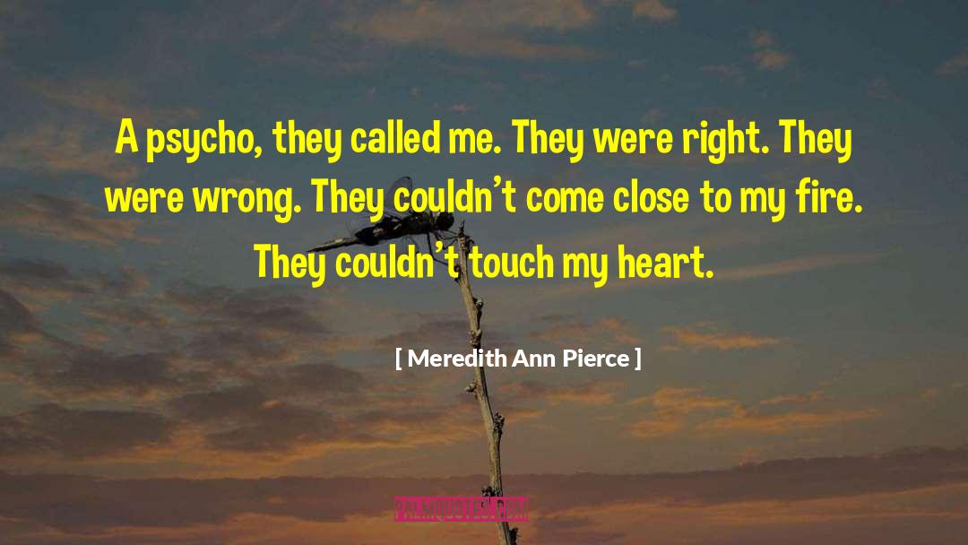 Meredith Ann Pierce Quotes: A psycho, they called me.